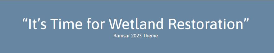 wetland banner